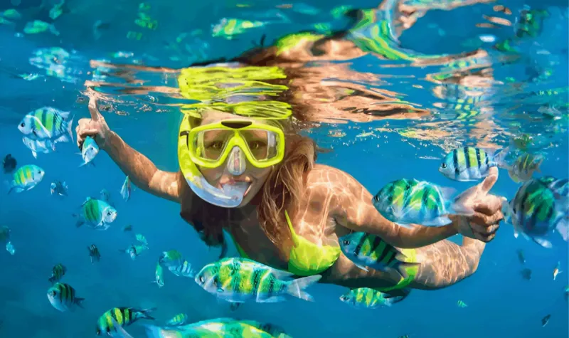 Snorkeling Tours
